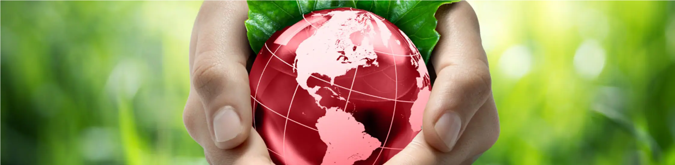 iso-14001-foundation-mmkitconsultingllc