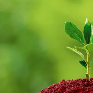 iso-14001-lead-auditor-mmkitconsultingllc