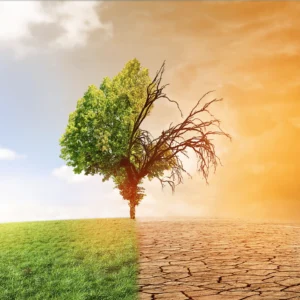 iso-20400-lead-manager-mmkitconsultingllc