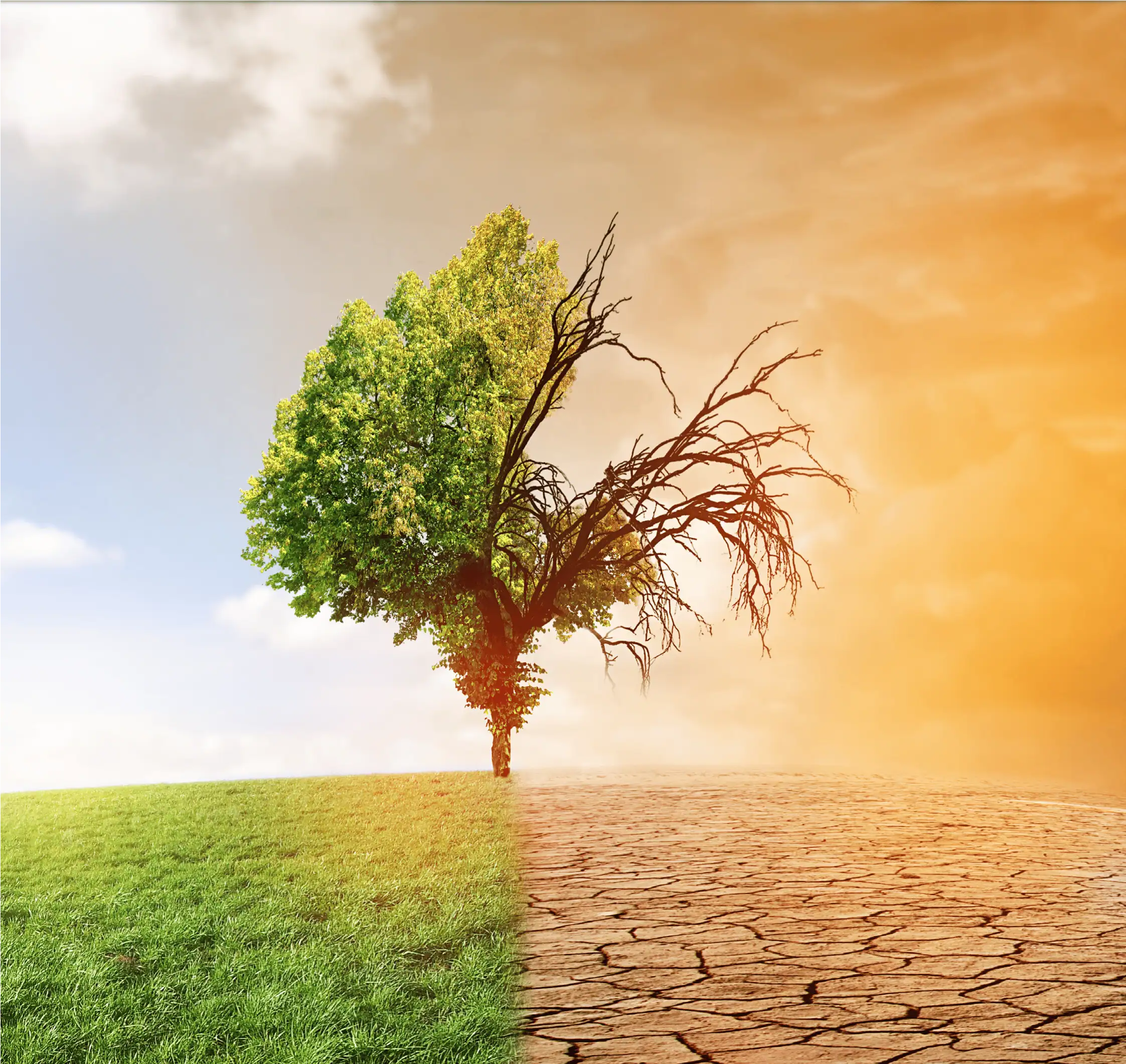 iso-20400-lead-manager-mmkitconsultingllc